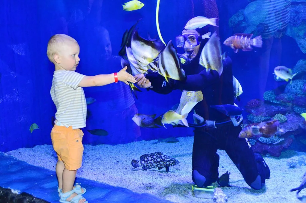 Hurghada Grand Aquarium – Excursion familiale