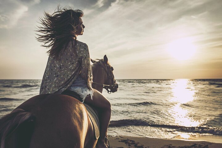 Équitation – Excursion au départ de Hurghada